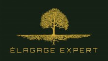 Élagage Expert